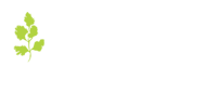 The Coriander Blackheath